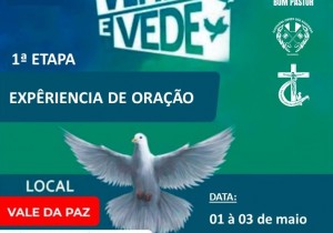 VINDE E VEDE