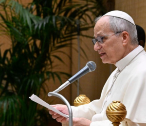 O Papa: a beleza desperta os desejos mais nobres do coração, abrindo-o para Deus