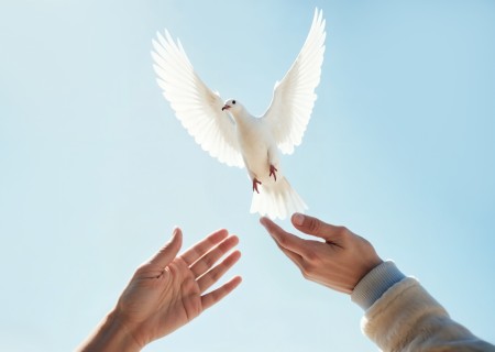 Leão XIV: perseveremos em invocar o dom da paz para o mundo inteiro