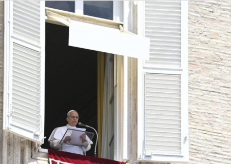 Papa na Semana Laudato si': cuidar da paz é cuidar da vida